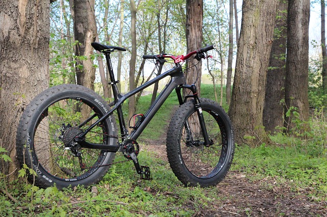 Fat bike en forêt