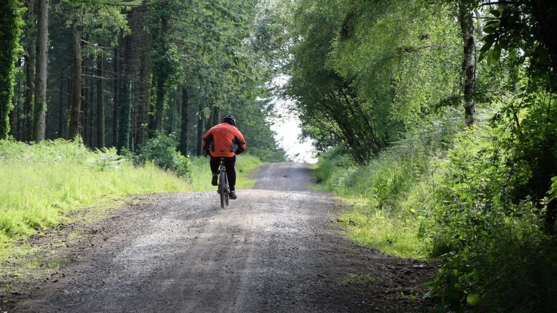 Vélo bois