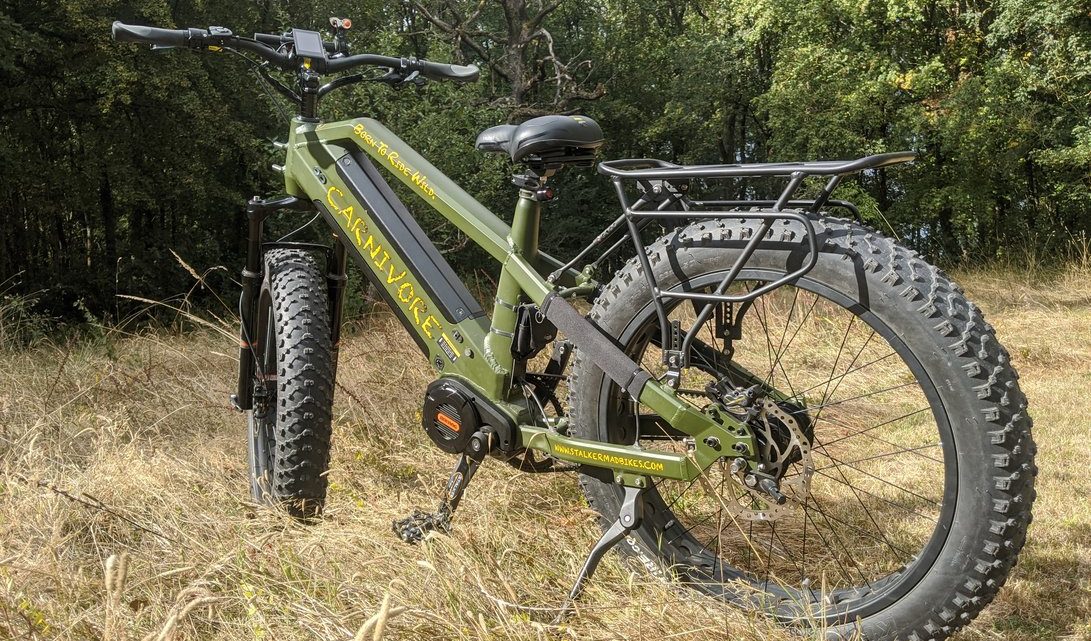 VTT électrique Stalker