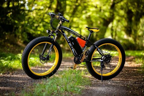 Fat Bike électrique Rich Bit Top 012