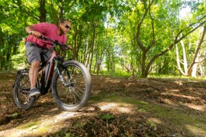 Investir vélo électrique