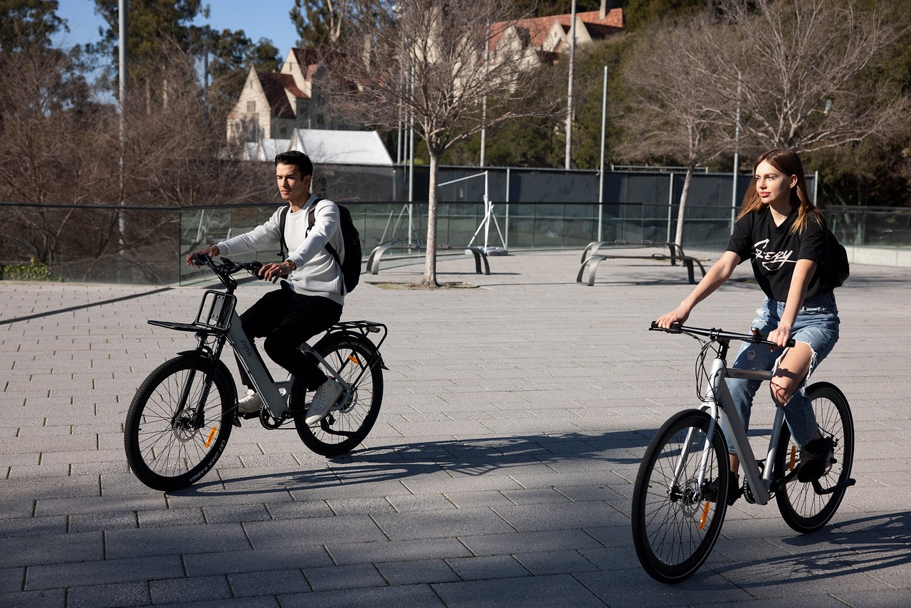 BESV CF1 Joyful 2021 vélo électrique occasion