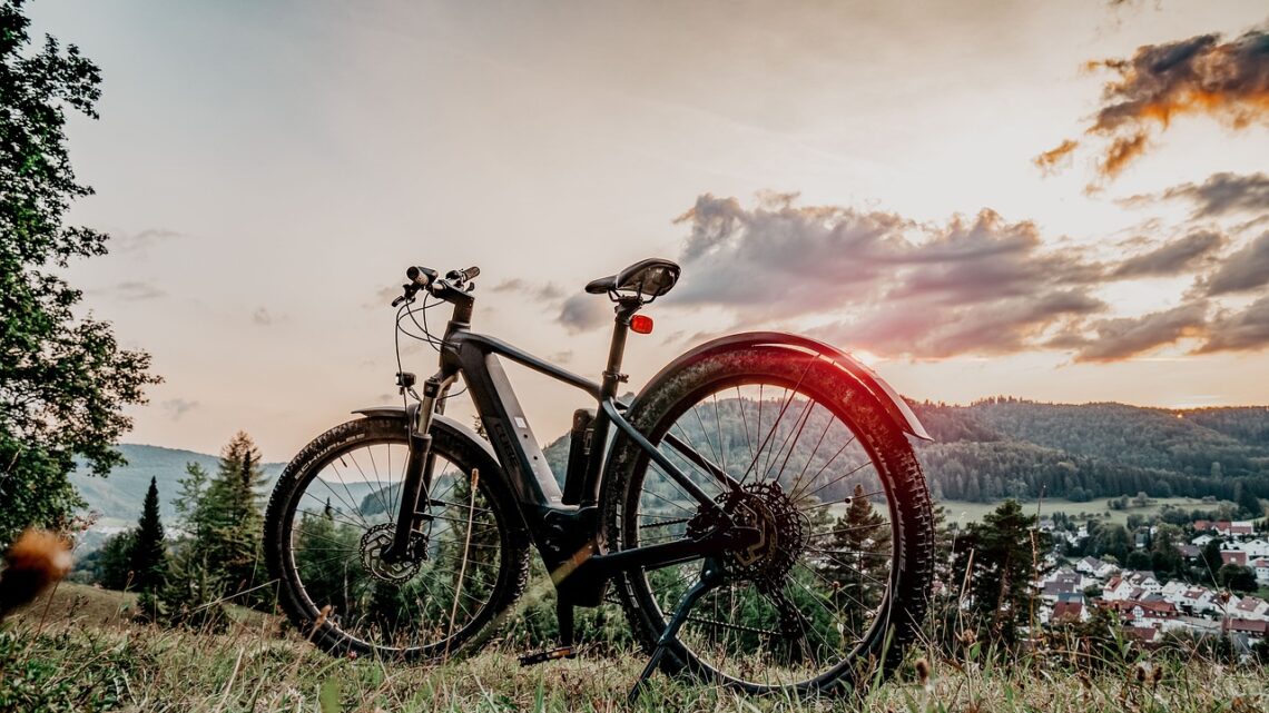 3 vélos électriques à moins de 650 € à saisir d’urgence ! 3 vélos électriques à moins de 650 € à saisir d’urgence !